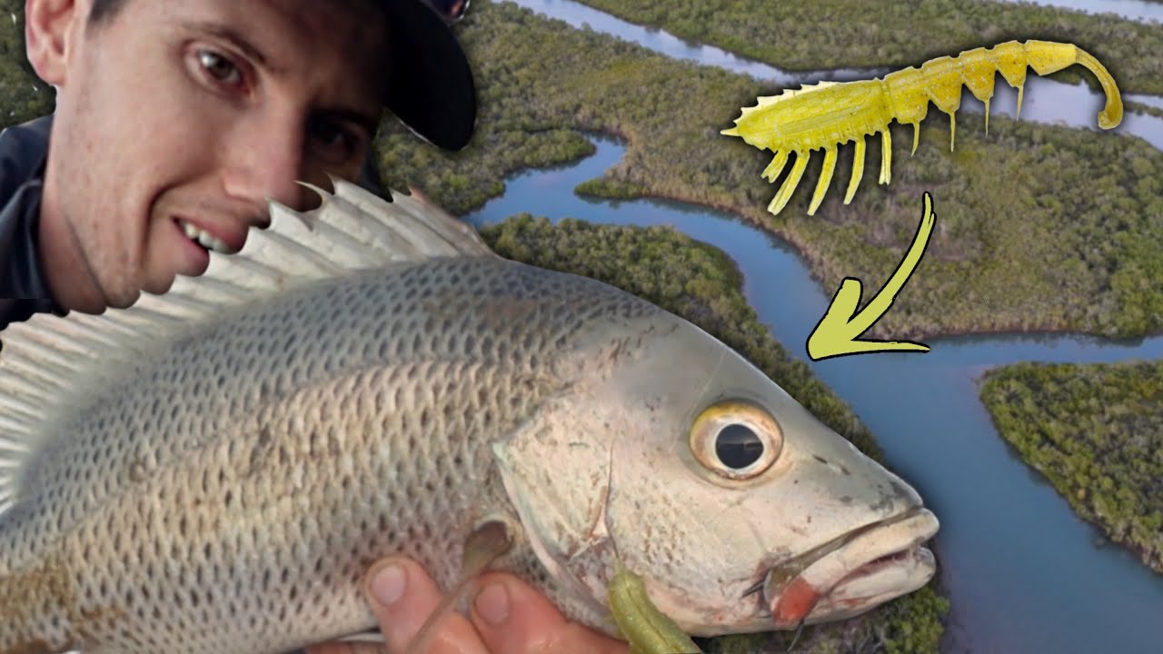 SKIP CASTING for MANGROVE JACK | CREEK MEETS THE COAST | Part 3