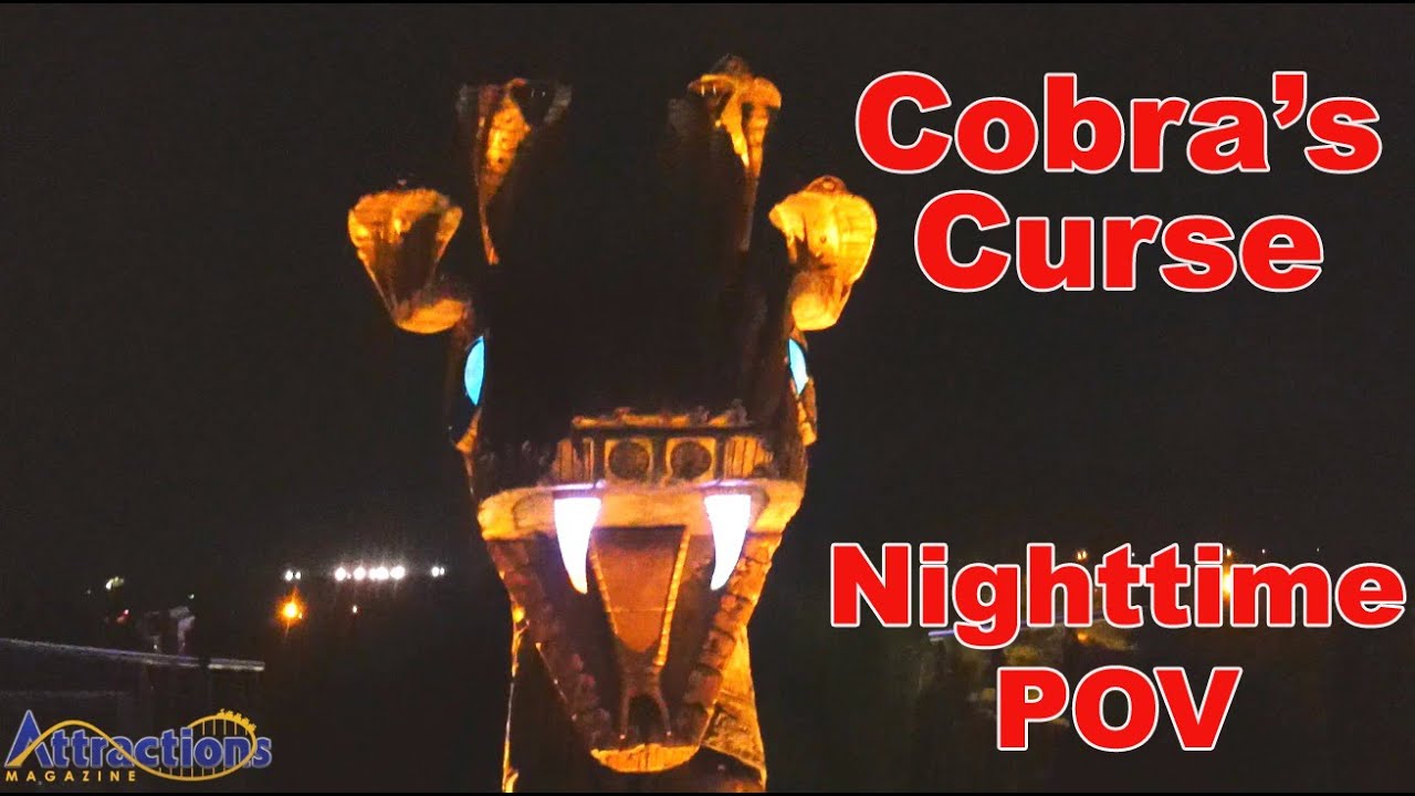 Cobra’s Curse Roller Coaster Nighttime POV at Busch Gardens Tampa