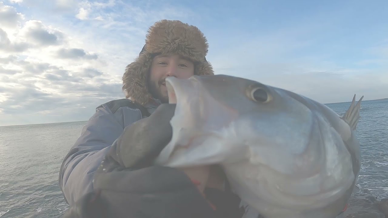 pêche du loup ( bar ) en Camargue