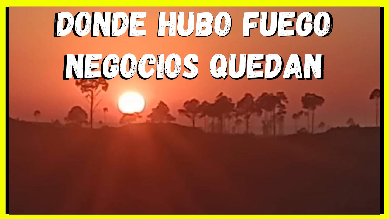 Dias de TERROR 🔥 | INCENDIOS en CORDOBA 🔥
