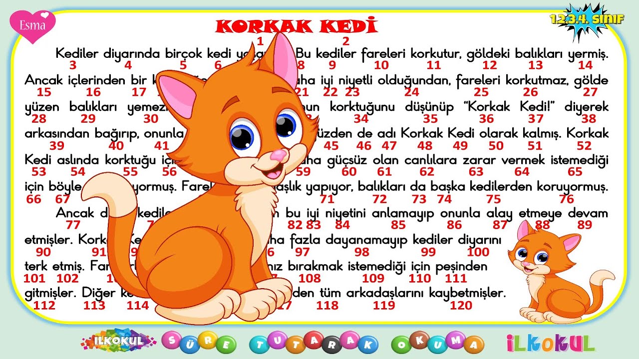 1.2.3.4.Sınıf S&uuml;re Tutarak Okuma-1 / Korkak Kedi Metni / 103 Kelime / İlkokul İ&ccedil;iN / PDF
