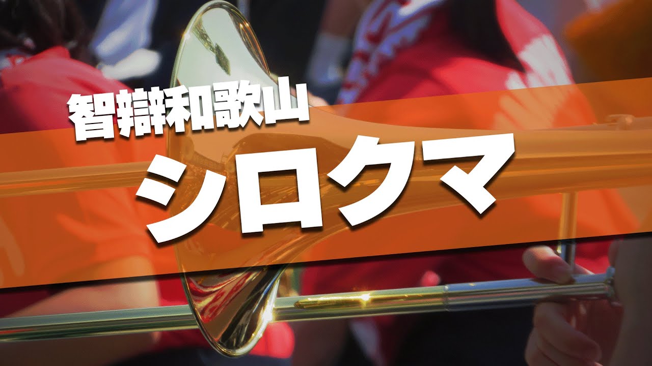 智辯和歌山 シロクマ 2者連続ホームランの同点時 霞ヶ浦戦8回裏 応援歌 2024夏 第106回 高校野球選手権大会