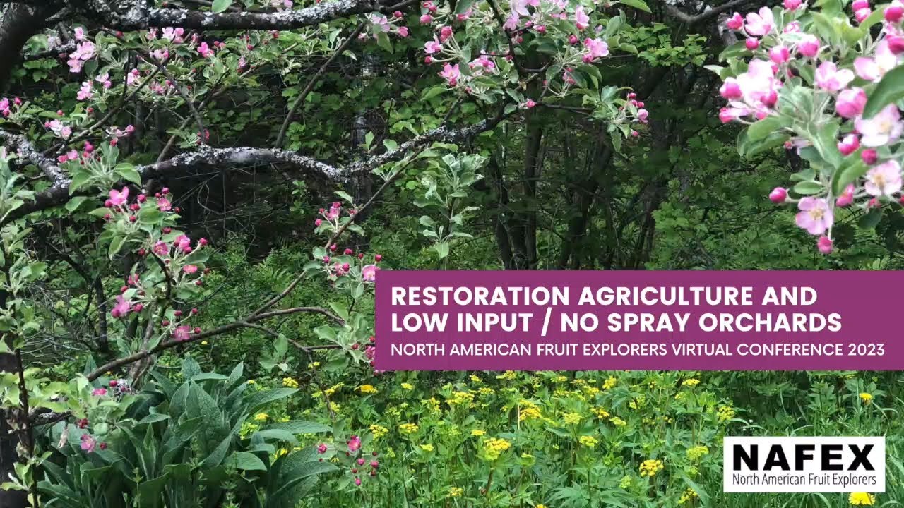 5 Restoration Agriculture and Low-Input Orchards