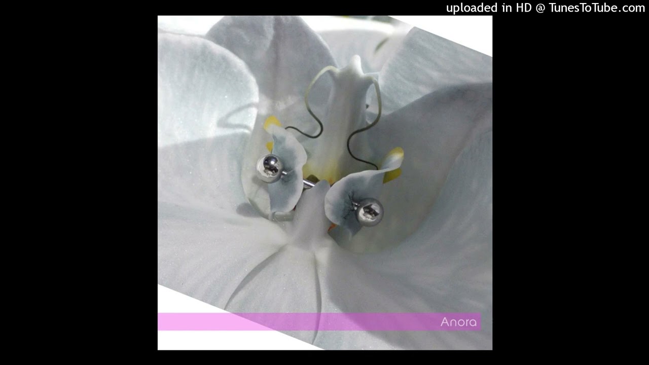 Anora - 9mice (speed up)