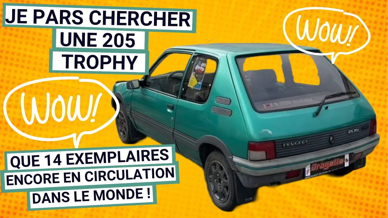 J'ach&egrave;te une Peugeot 205 Trophy au Pays-Bas (encore plus rare qu'une T16 !)