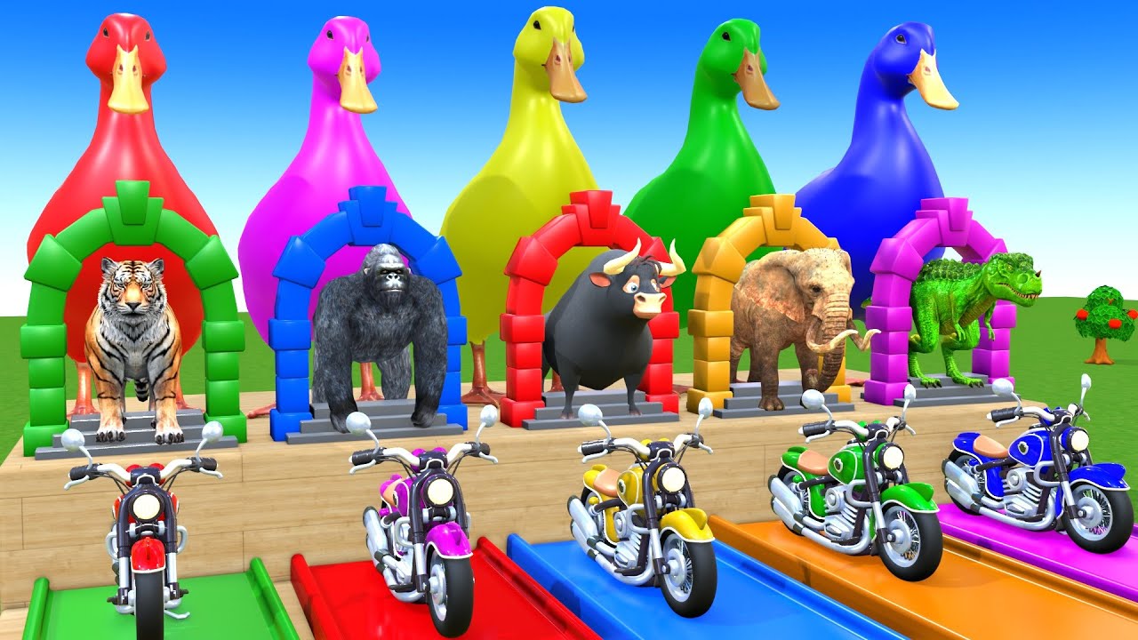Long Slide Game With Cow Elephant Gorilla Hippopotamus Tiger 3d Animal Game Funny 3d Animals