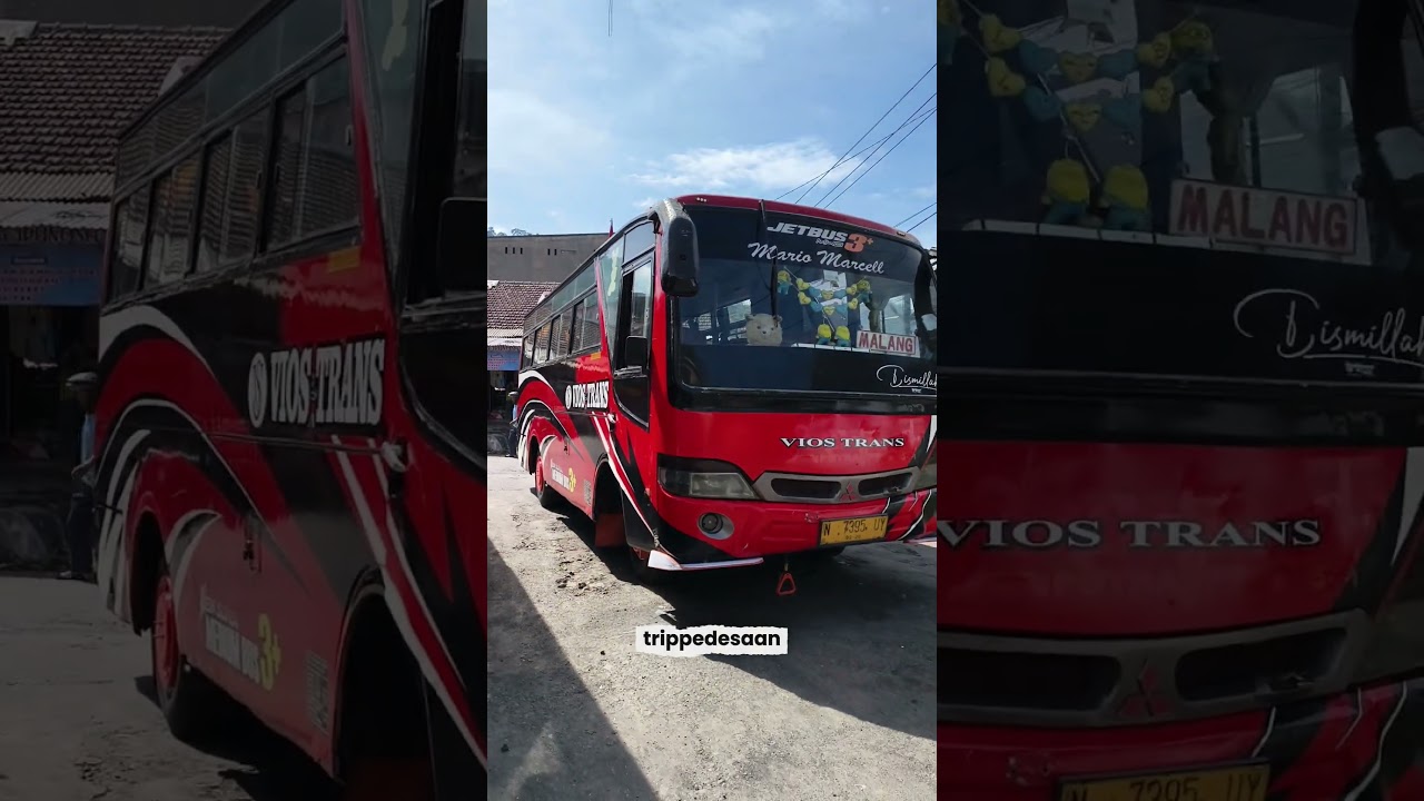 Vios Trans bus Malang Lumajang start di terminal Kalibening, #busmania