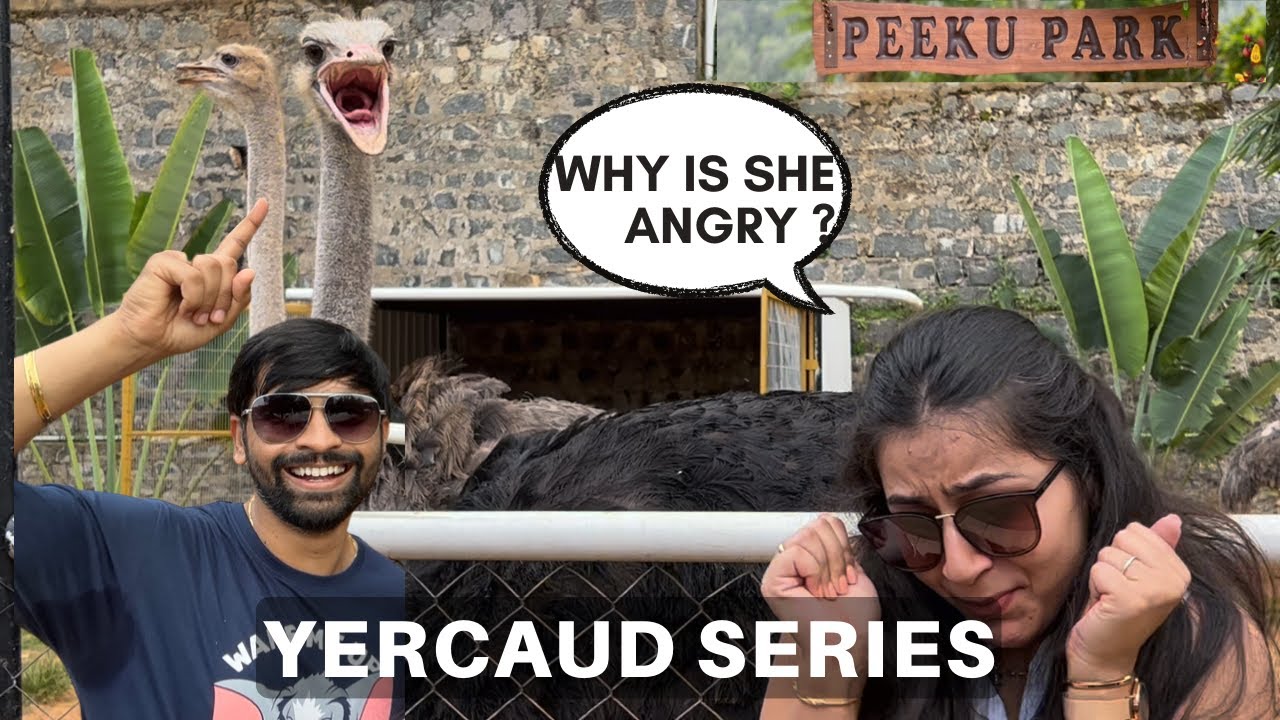 Must visit tourist places in Yercaud | Peeku Park | Sterling Hotel | Things to do in Yercaud