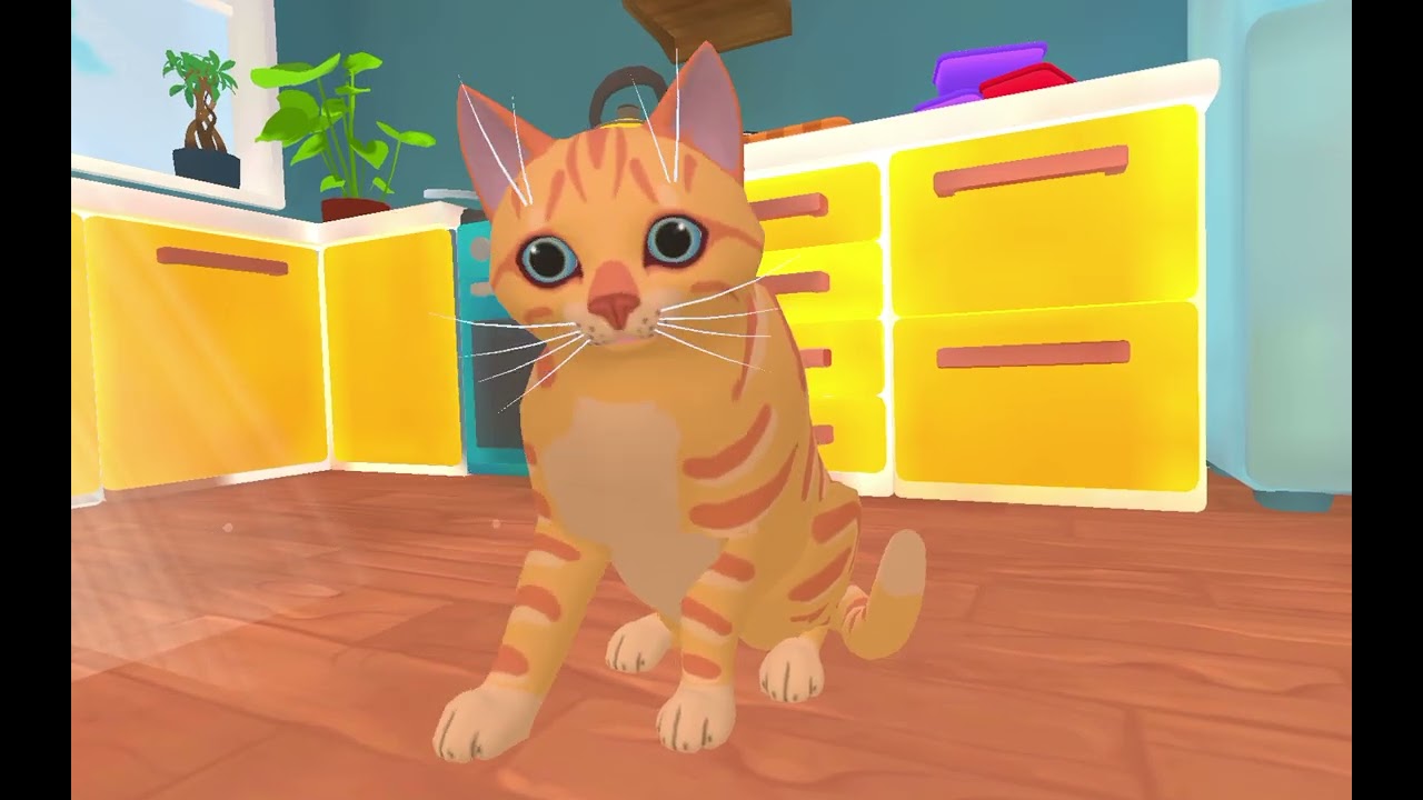 O gato e a avó ❤️