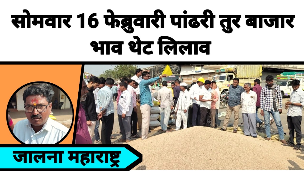 सोमवार 16 फेब्रुवारी पांढरी तुर बाजार भाव थेट लिलाव जालना महाराष्ट्र || तुरीला काय मिळतो भाव