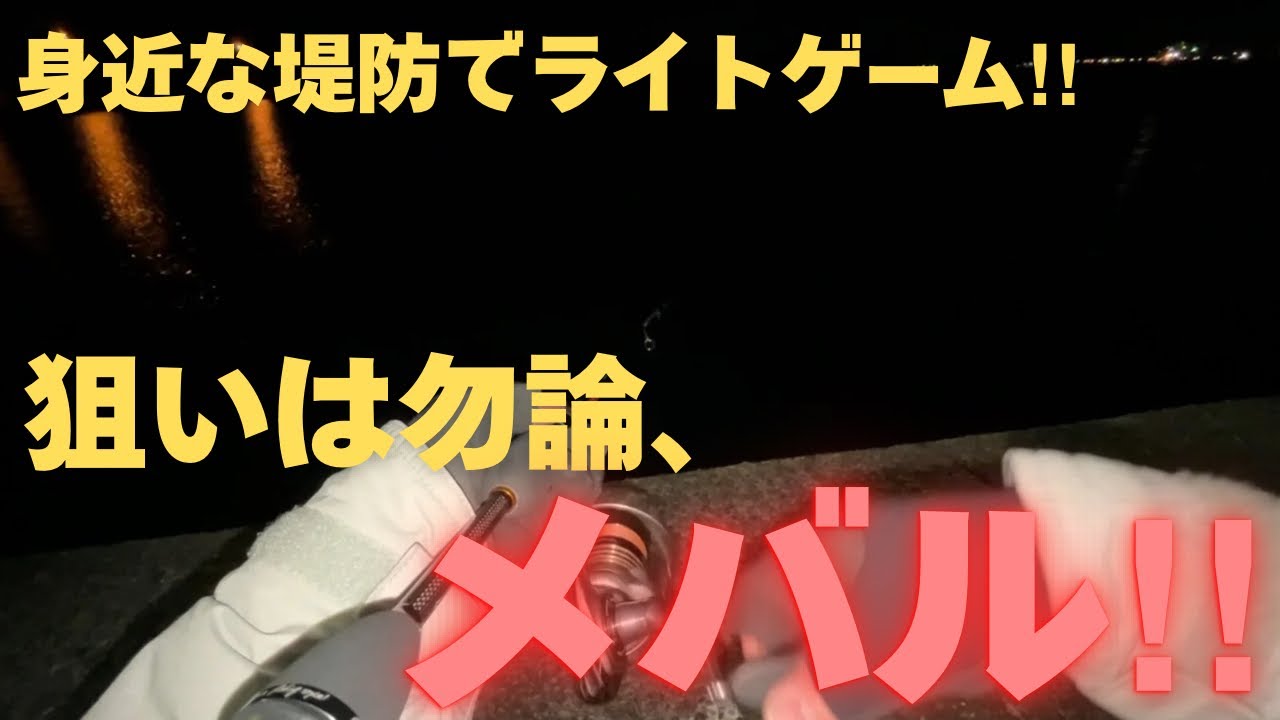【メバリング】真冬の堤防でメバルを狙ってみた‼︎