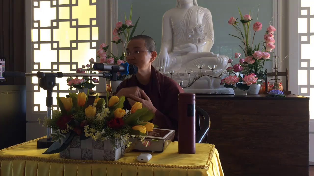善戒尼师 - 禅修问与答：妄念多