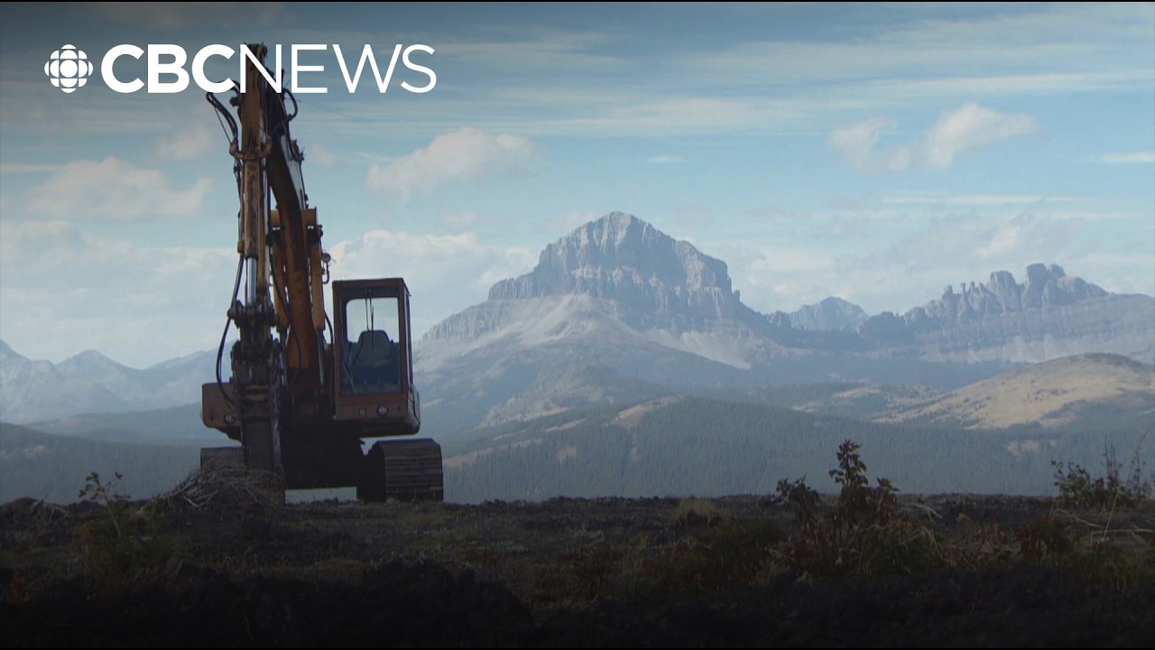 Renewed attempt to stop coal mining in Rockies launches