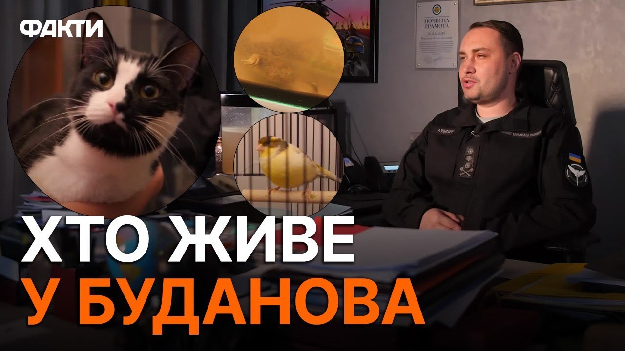 ЕКСКУРСІЯ кабінетом БУДАНОВА! Куди ЗНИК справжній ГЮНТЕР і які СЕКРЕТИ знає жаба