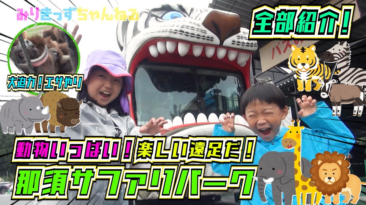 大迫力❗️【那須サファリパーク🐘】遠足だ❗️