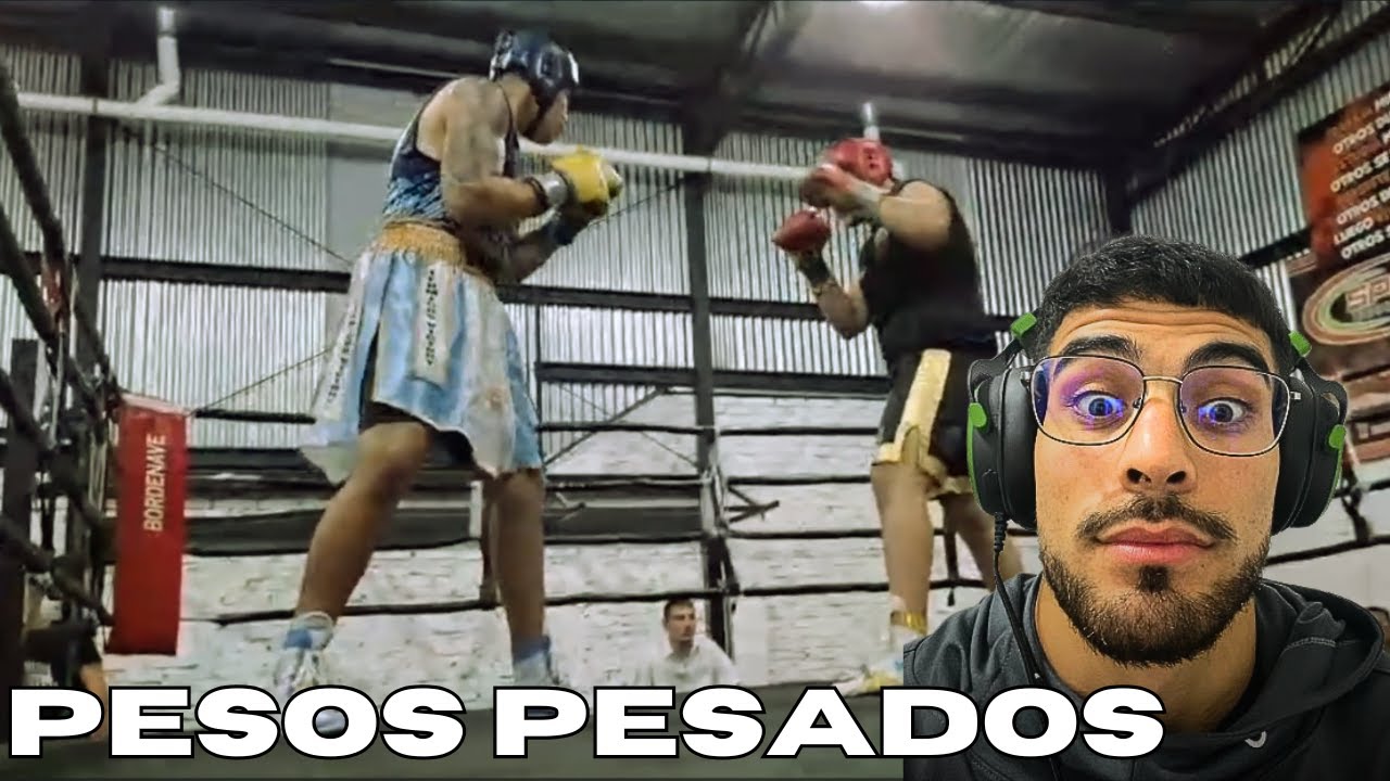 REACCIONANDO PELEAS DE SEGUIDORES / PICHA