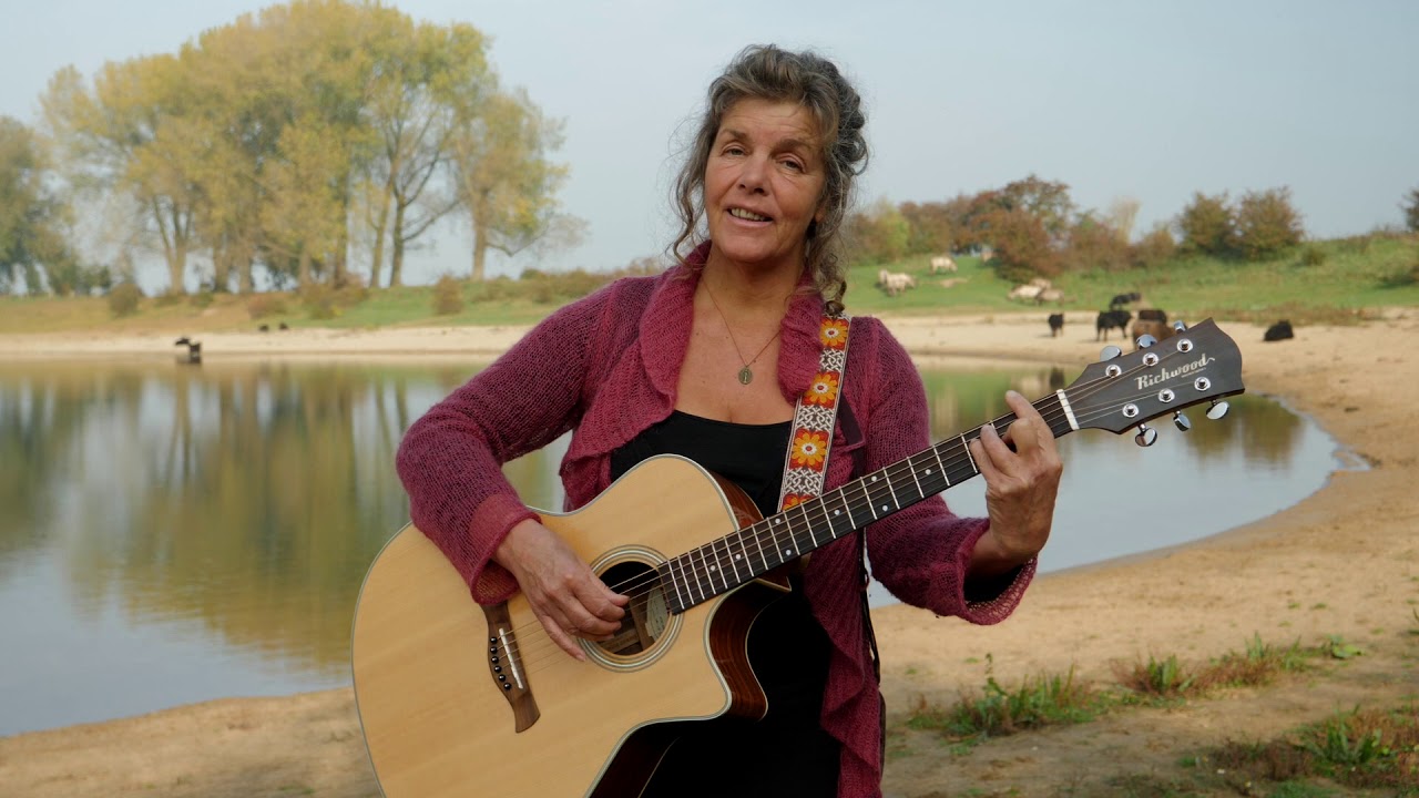 Dineke de Velde Harsenhorst. De Pelgrim.