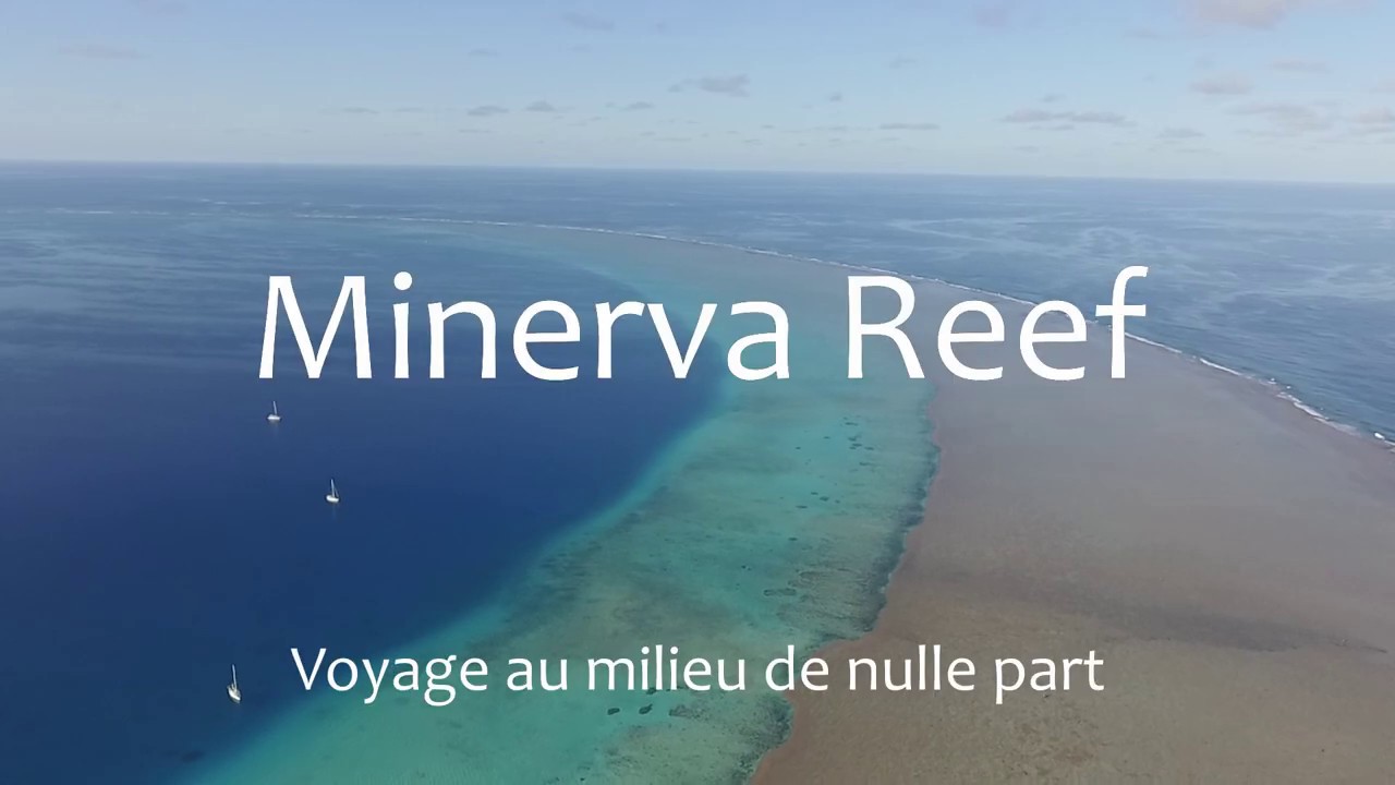 Minerva Reef, au milieu de rien.