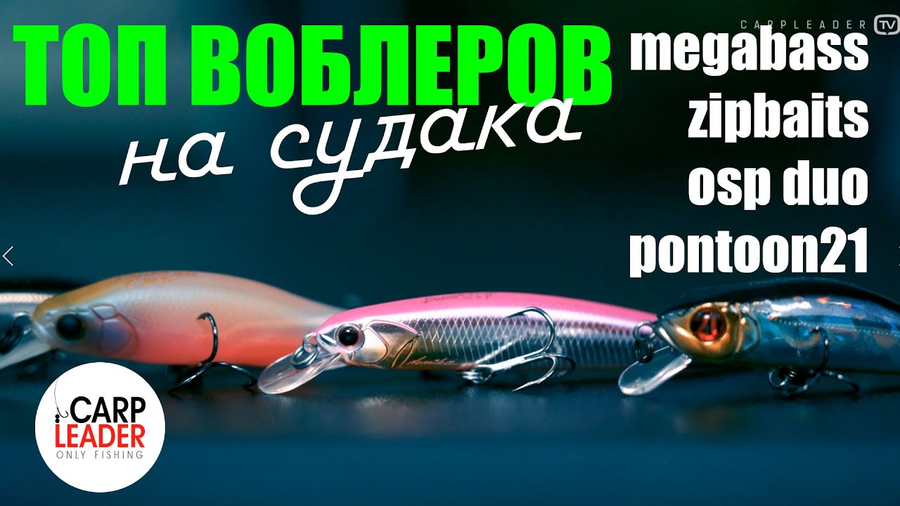 ТОП ВОБЛЕРОВ НА СУДАКА, обзор Карплидер