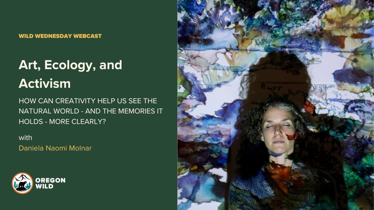 Art, Ecology, and Activism: A Conversation with Daniela Naomi Molnar