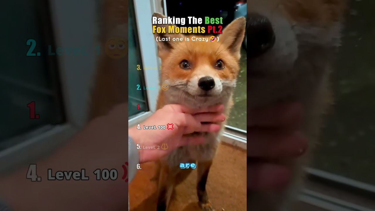 Ranking The Best Fox Moments Pt 2