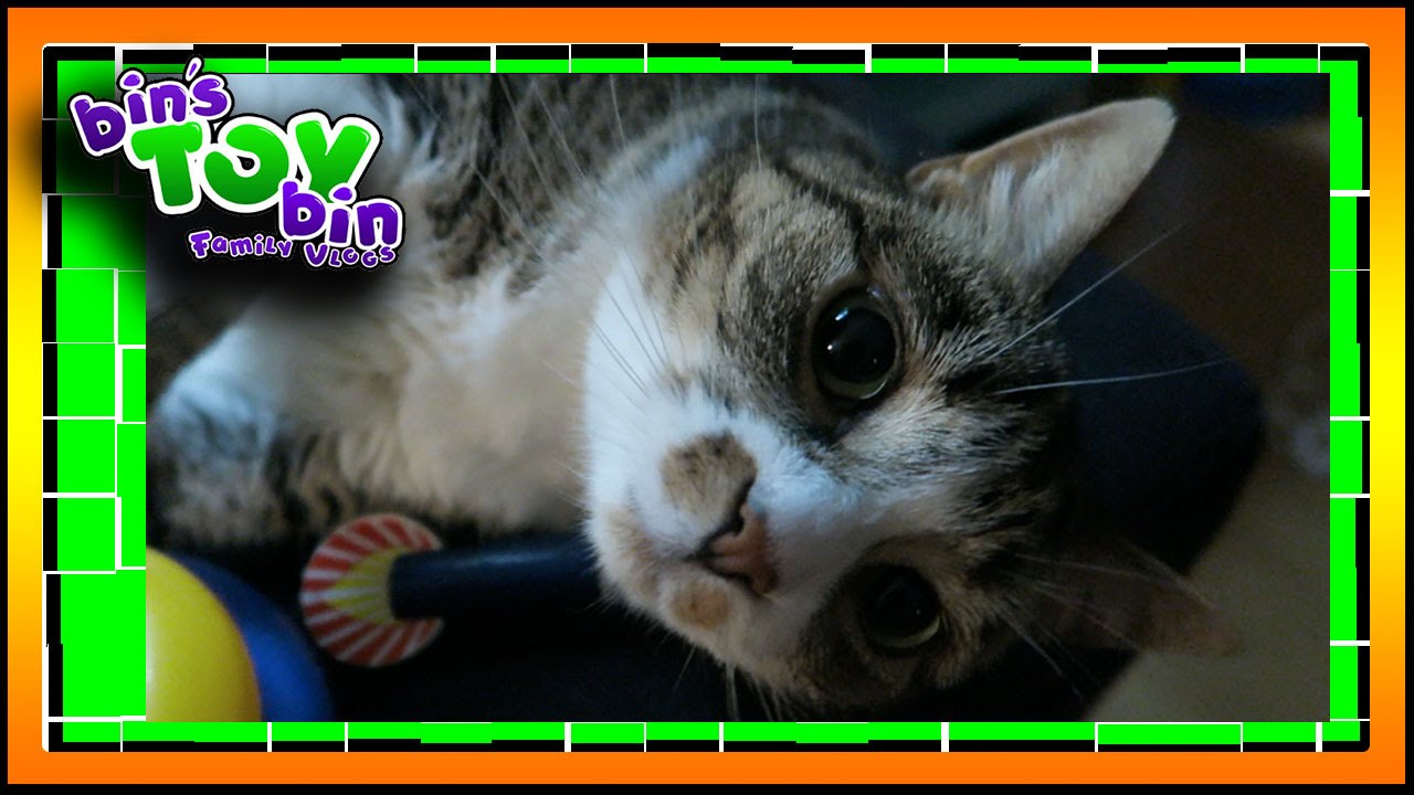 Short Vlog - Help Bin Pick her Nails!! 8.1.2016 | Bins Toy Bin Daily Vlogs