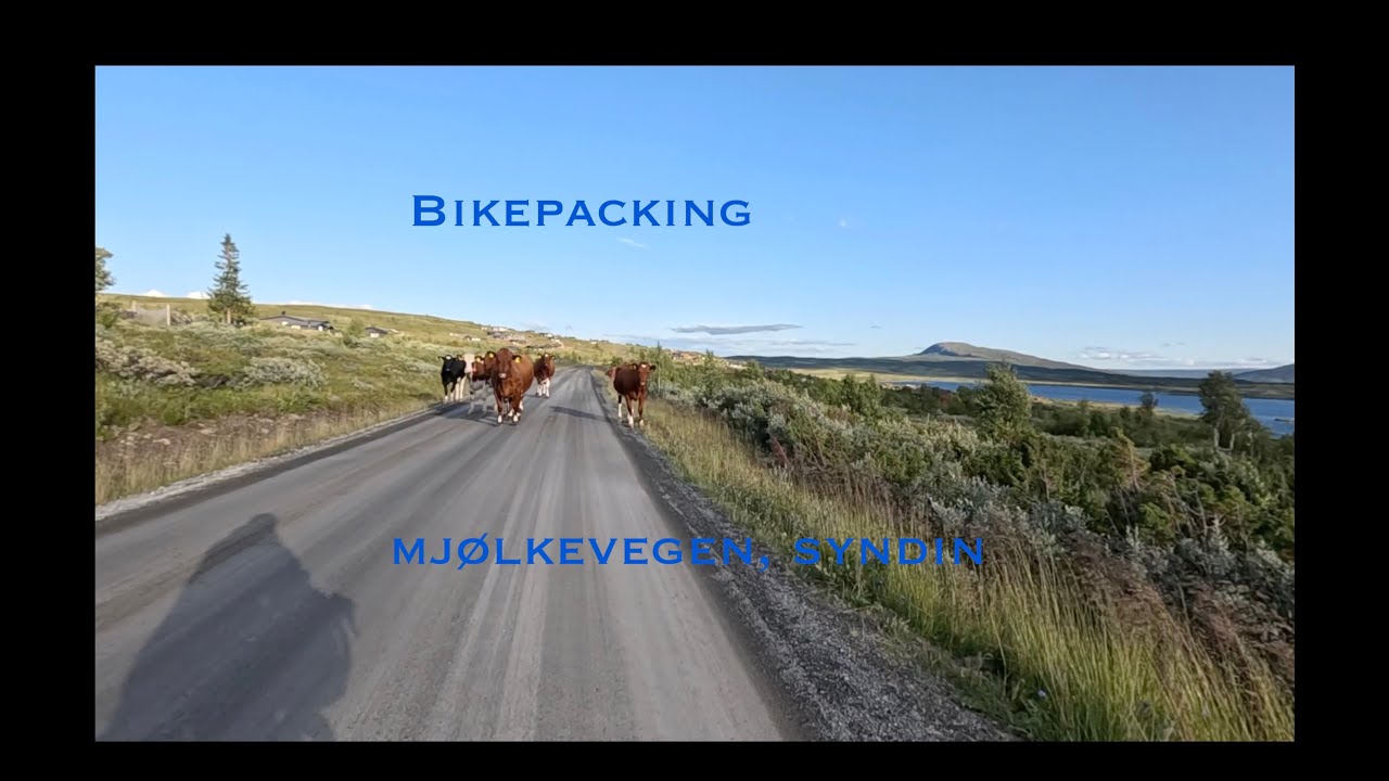Bikepacking Mjølkevegen, #3