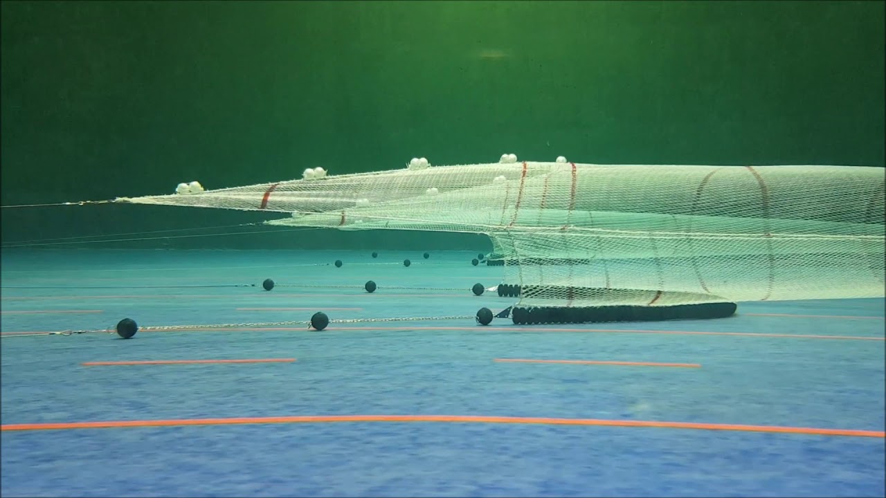 Arctic 101mtr x 2 úr tankferð Ísfells 2019