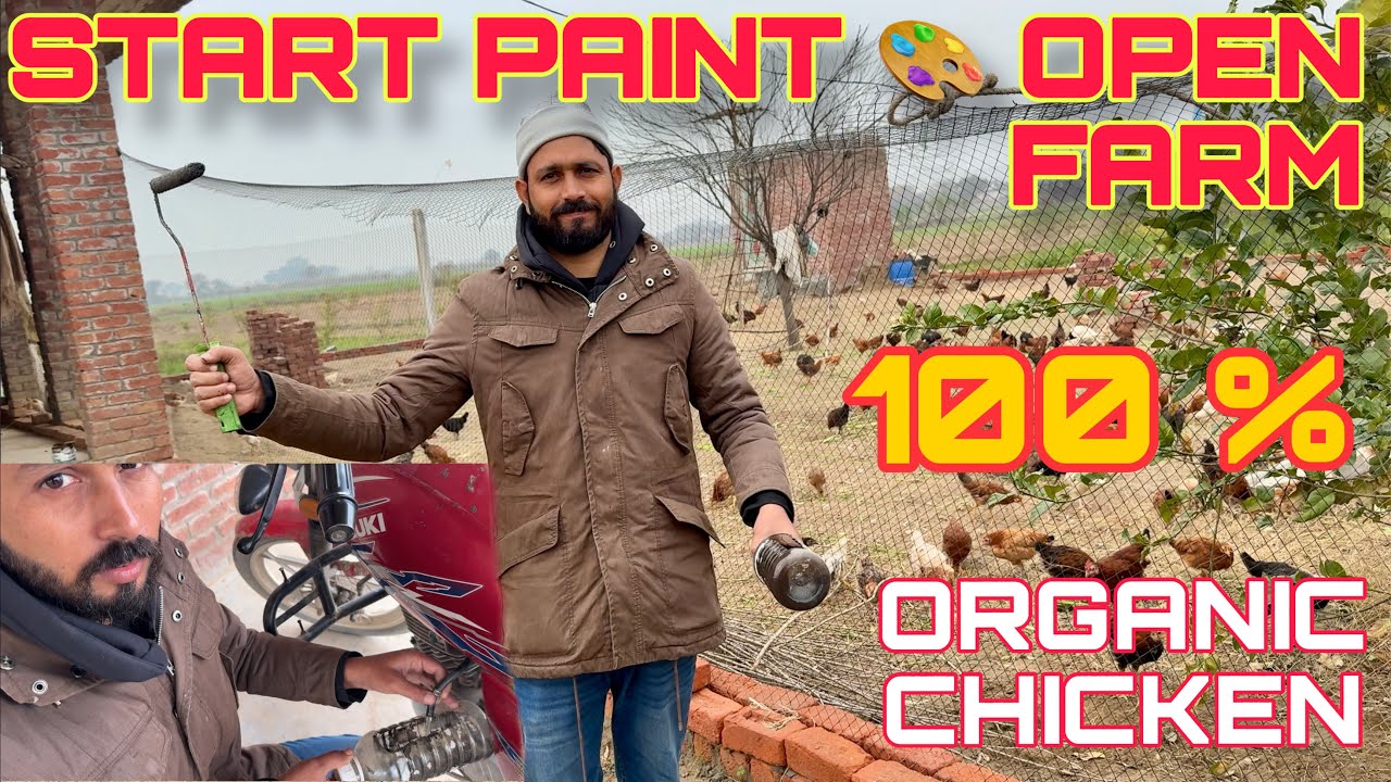 Start Painting Open Organic Chicken Farm | 100% Organic Farming Work