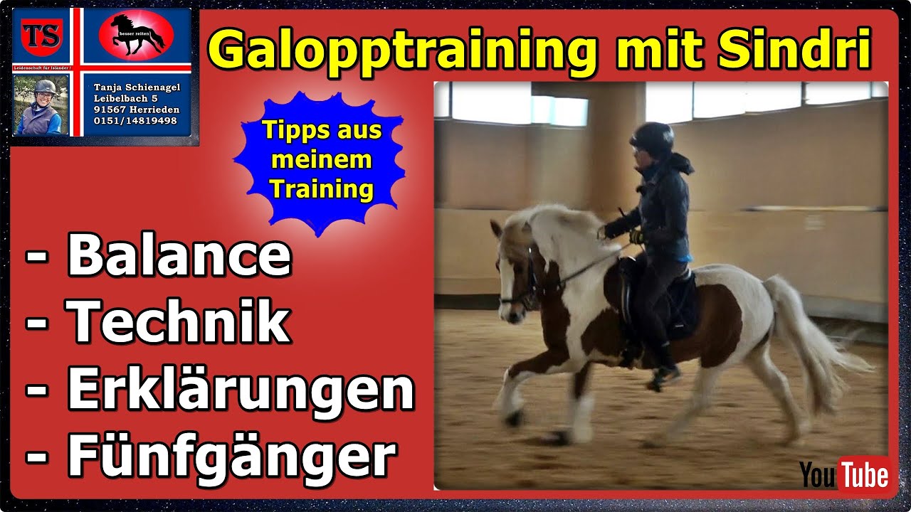 Sindri Galopptraining, Balance, Technik, Erklärungen, Fünfgänger, Isländer, Tipps, Tanja Schienagel