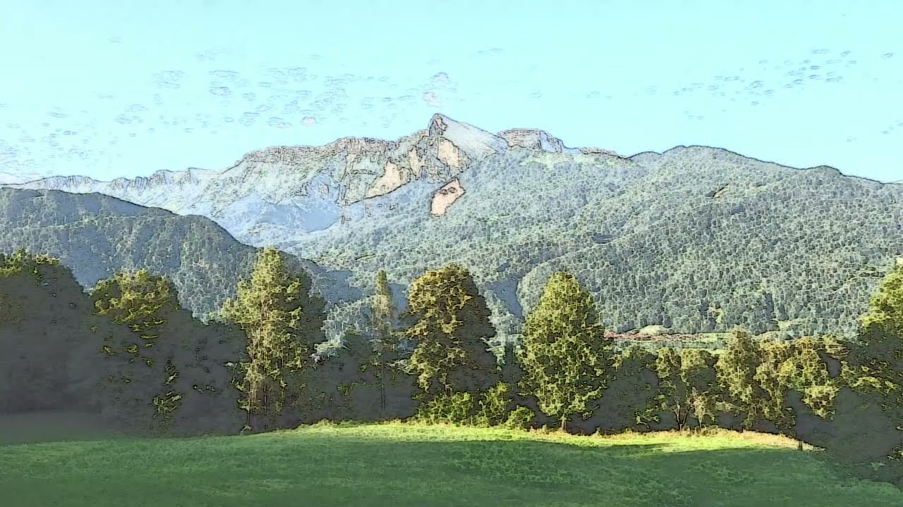 MALA TOLMINKA