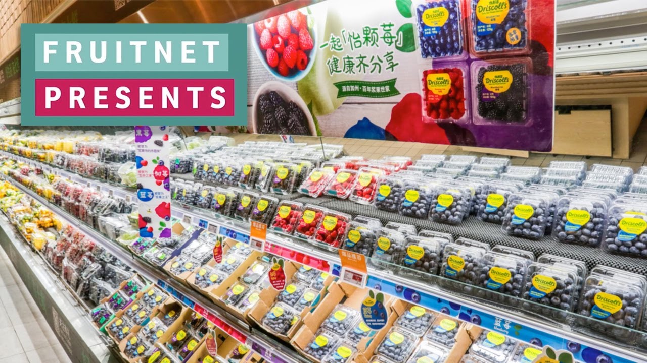 Fruitnet Presents: Driscoll's China