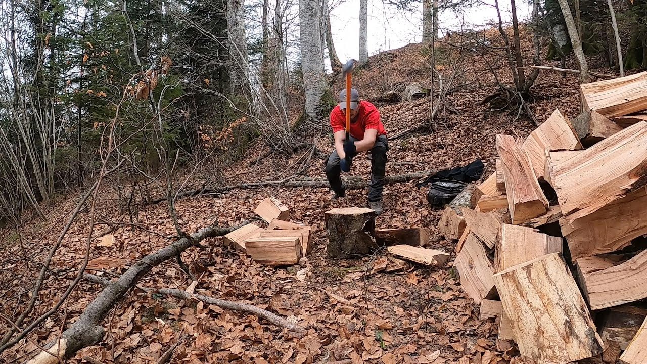 UNE JOURNÉE AU BOIS !