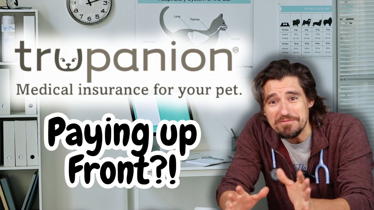 Trupanion is Changing Pet Insurance for the Better
