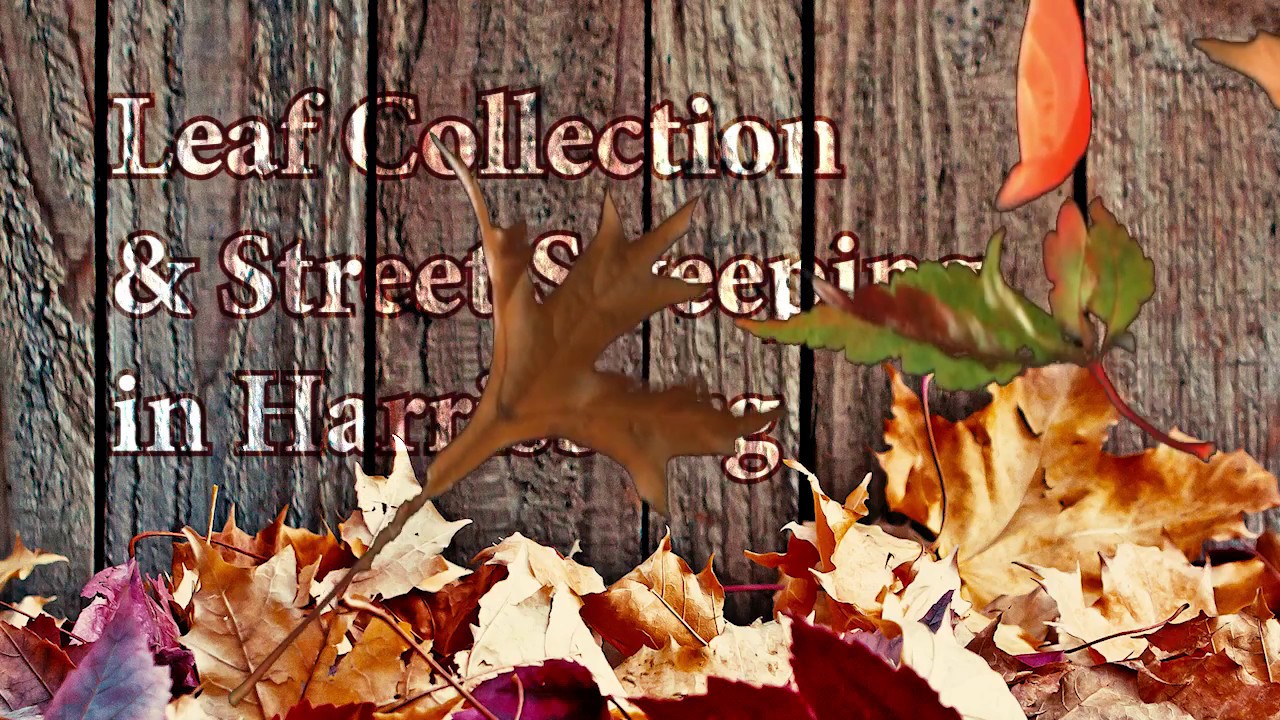 Hbg. Fall Leaf Collection & Street Sweeping