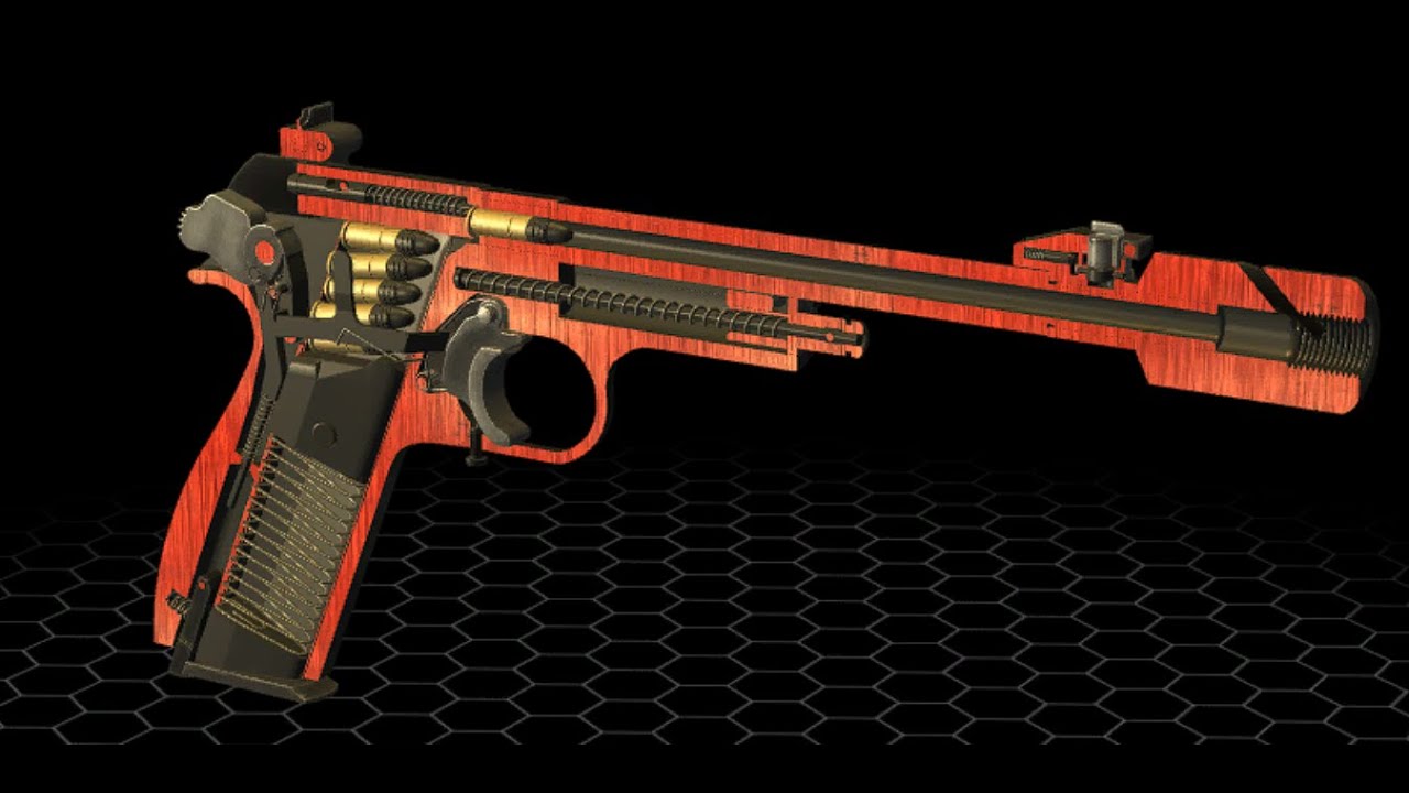 World of Guns: Gun Disassembly # Margolin MCM