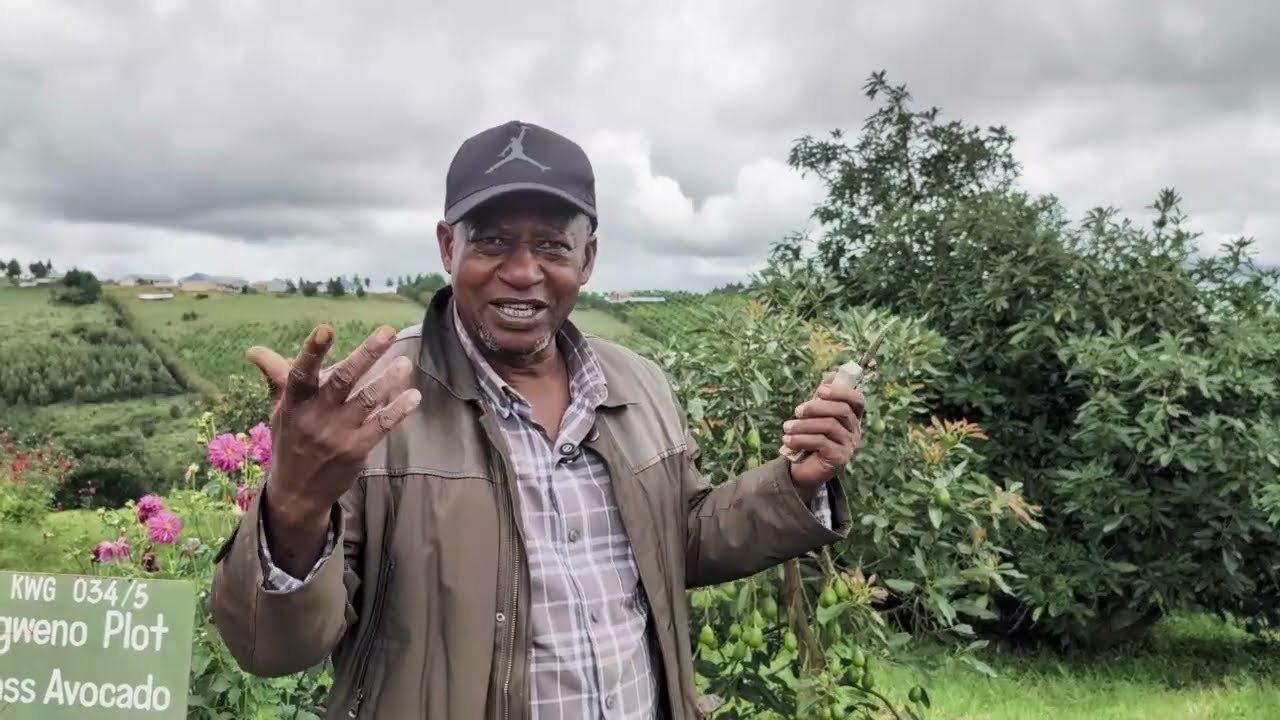 PART II: BILIONEA WA PARACHICHI AWAKOSOA VIJANA – MAKOSA WANAYOFAYA BAADA YA KUPATA MTAJI WA KWANZA