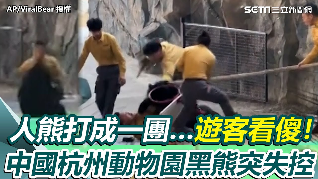 人熊打成一團…遊客看傻！中國杭州動物園黑熊失控 表演現場突攻擊飼養員「5人狂拉」阻止 園方解釋：看到飼養員的紅蘿蔔才失控｜三立新聞網 SETN.com