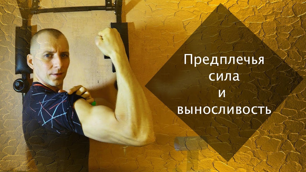 Сила и выносливость предплечий. Программа тренировок.