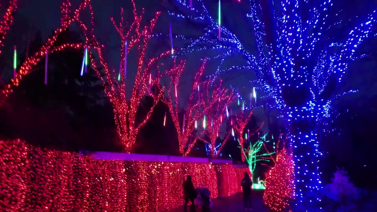 ZooLights at the Oregon Zoo