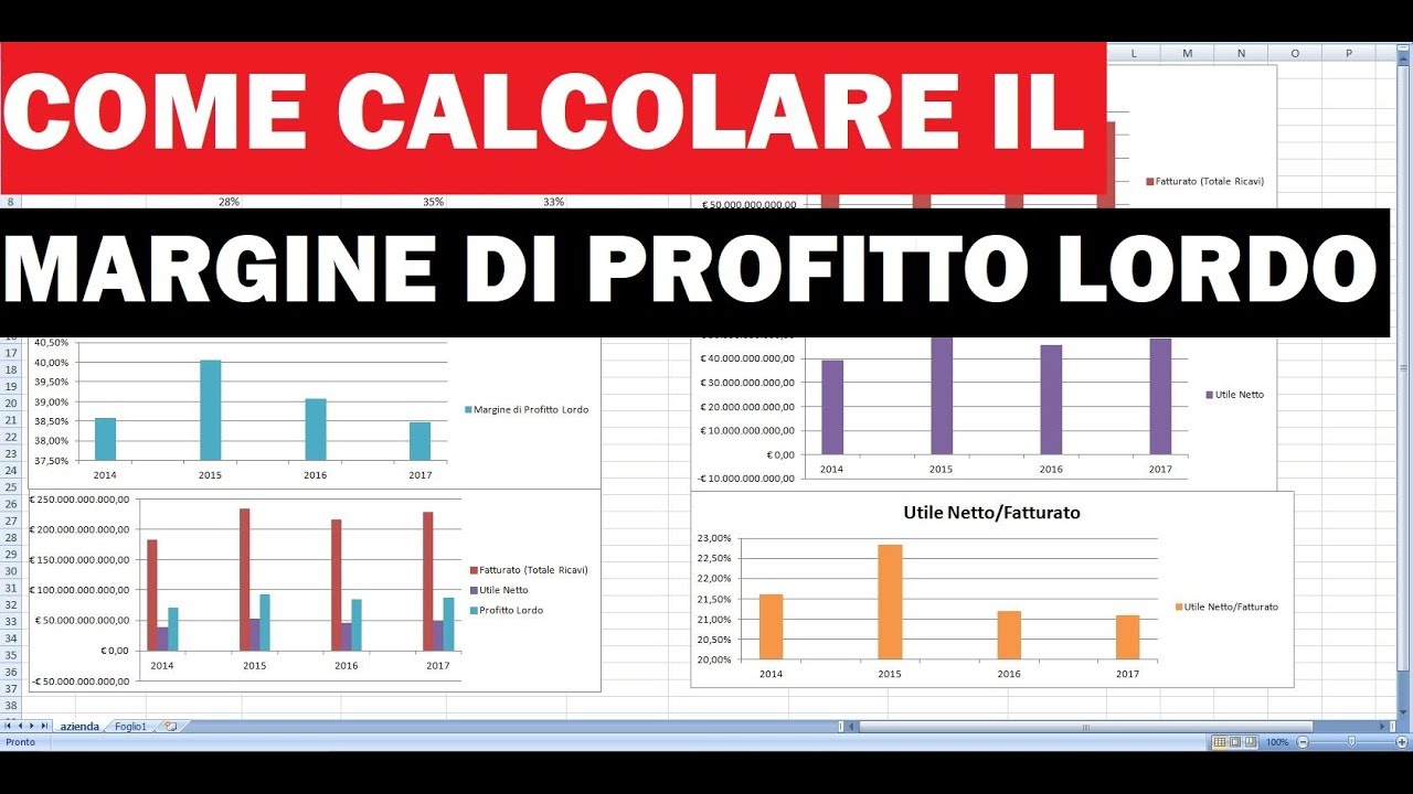 Calcolo del Margine di Profitto Lordo