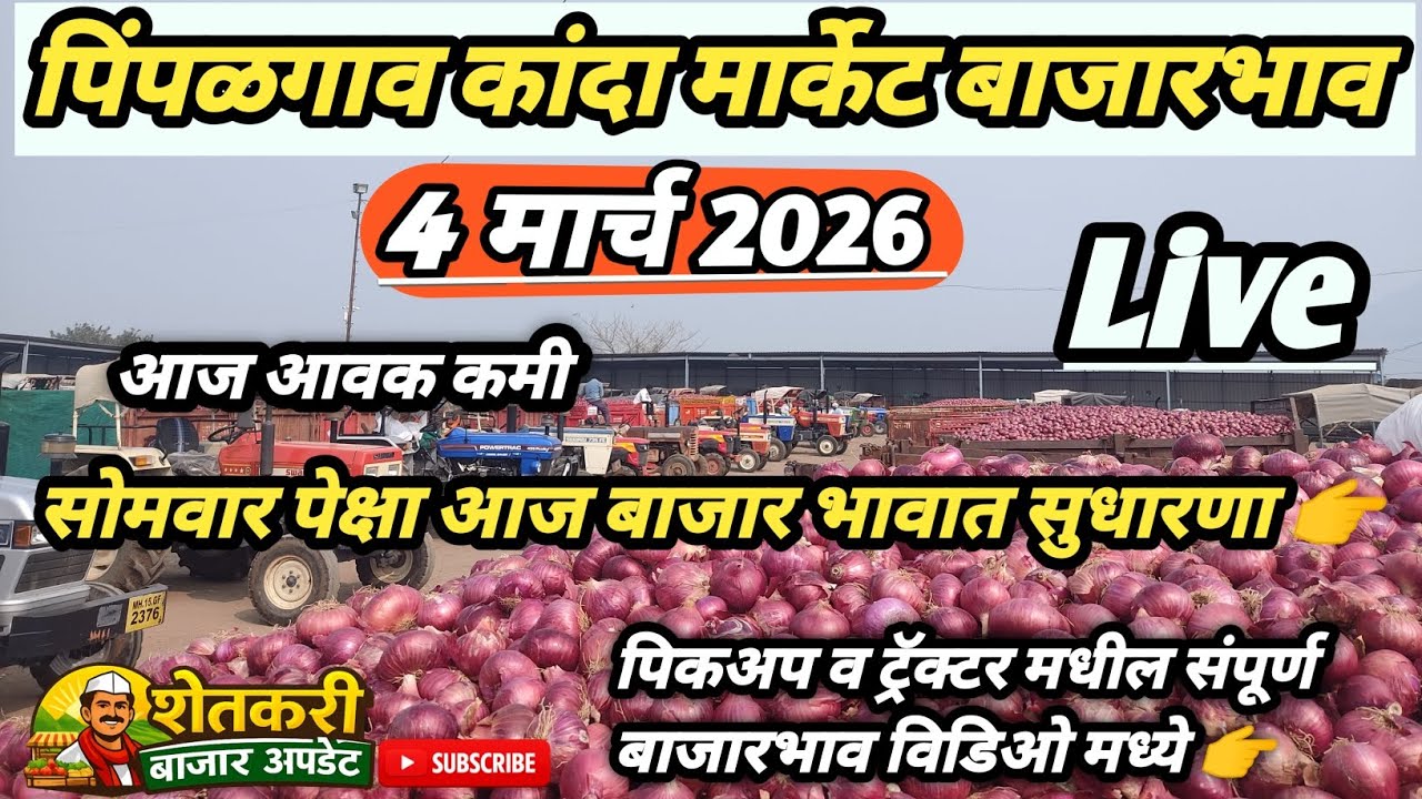 पिंपळगाव कांदा मार्केट | Pimpalgaon Kanda Market Bhav 🧅🧅 |#agriculture  4/3/2026