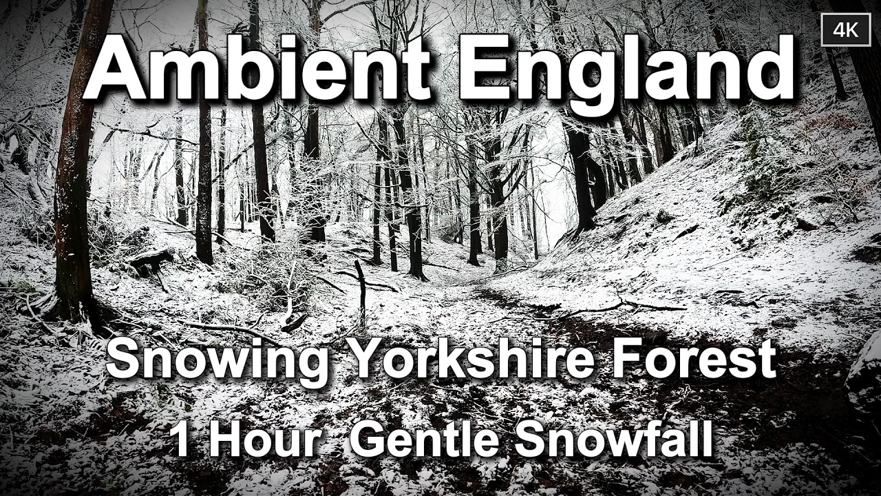 1 Hour Snowing Yorkshire Countryside Ambiance 02 | Peaceful Natural Sounds, No Music, Still Camera.