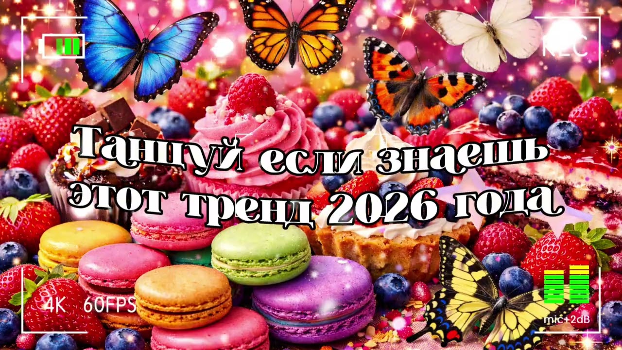 Танцуй если знаешь этот тренд 2026 года 🐻