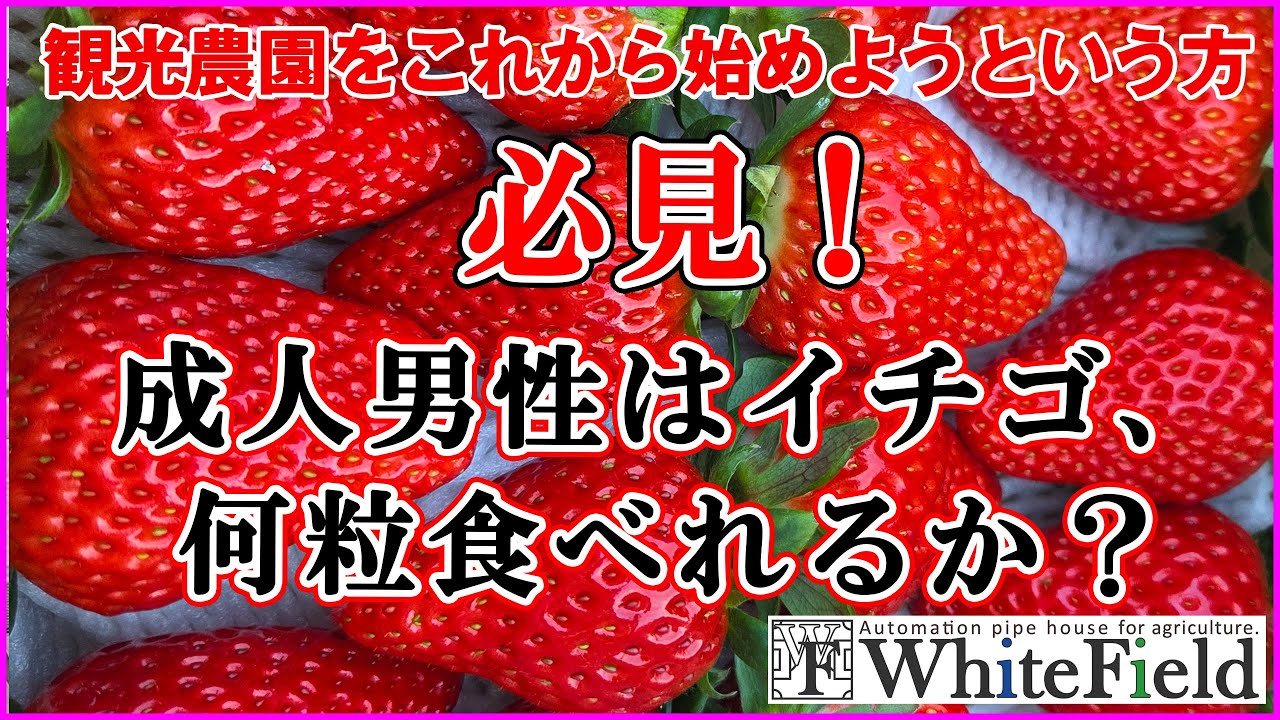 イチゴは成人男性、一回に何粒食べられるでしょうか？