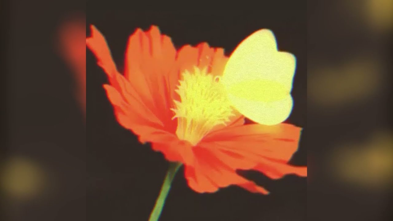 echo angel - secret garden (slowed + reverb)