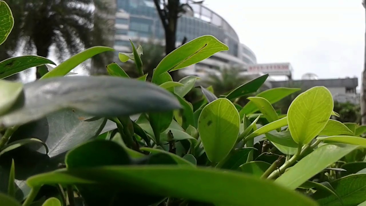 Spaze IT park Gurgaon