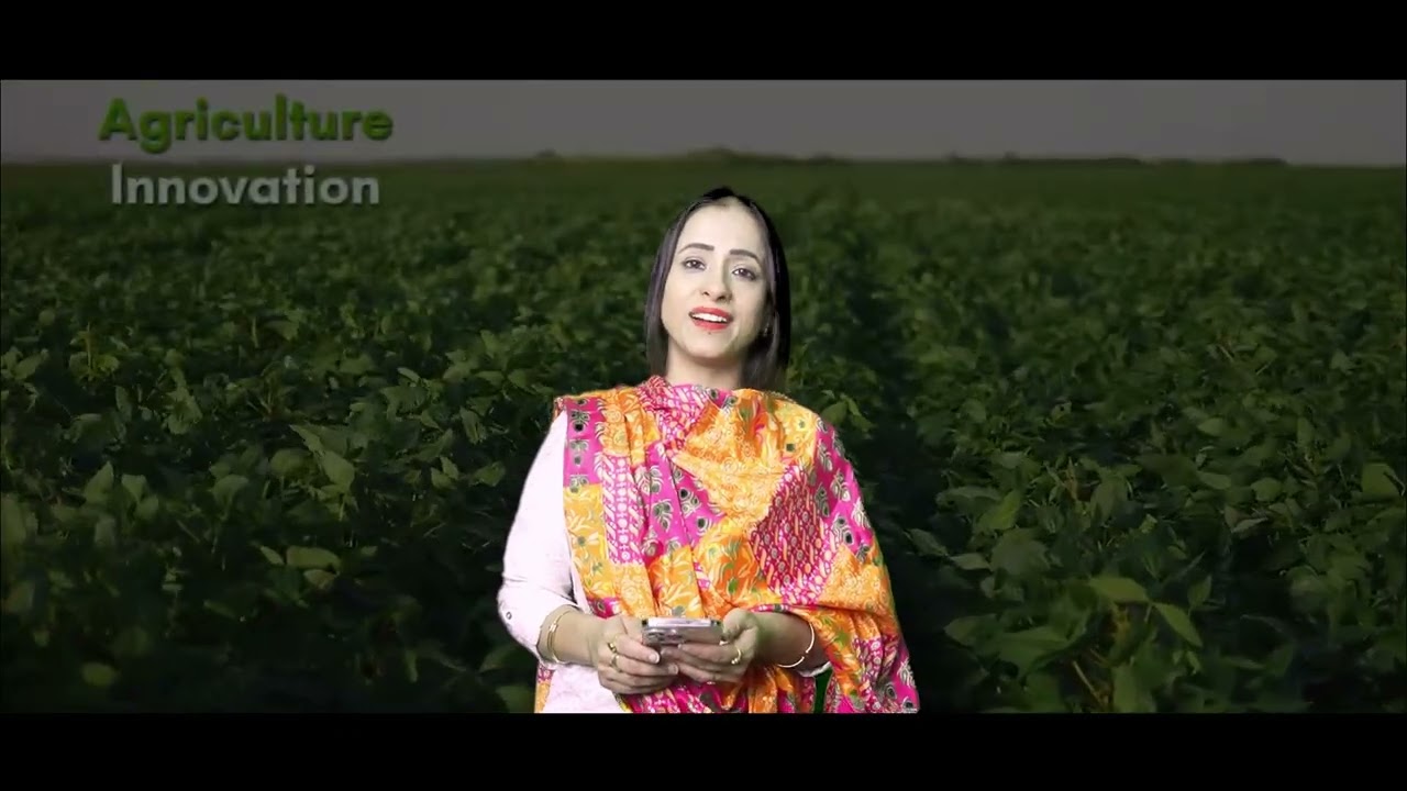 |BIDA| बुंदेलखंड के औद्योगिक भविष्य की नई उड़ान | निवेश, रोजगार और विकास का नया केंद्र