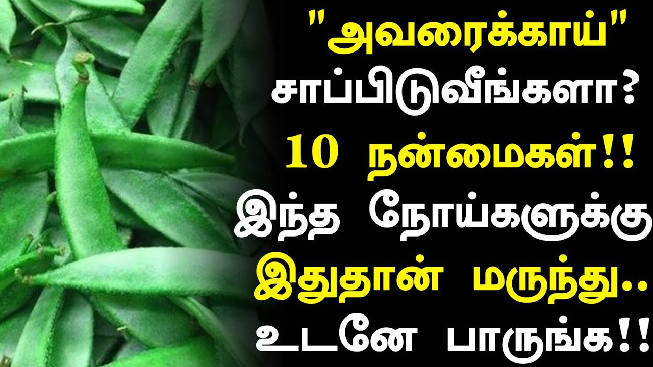 அவரைக்காய் அற்புதங்கள்! | Broad Beans Health Benefits in Tamil| Health Tips in Tamil