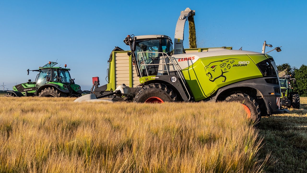 Whole crop silage with a Claas Jaguar 960, by contractor Hut from Zeewolde, NL